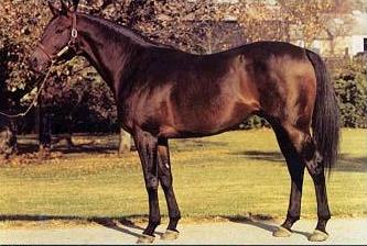 Buckpasser xx